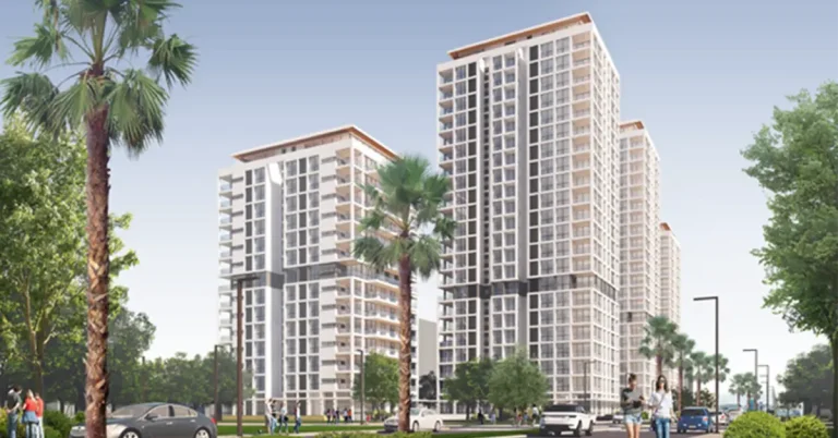 אבי חמרה דרך ארץ