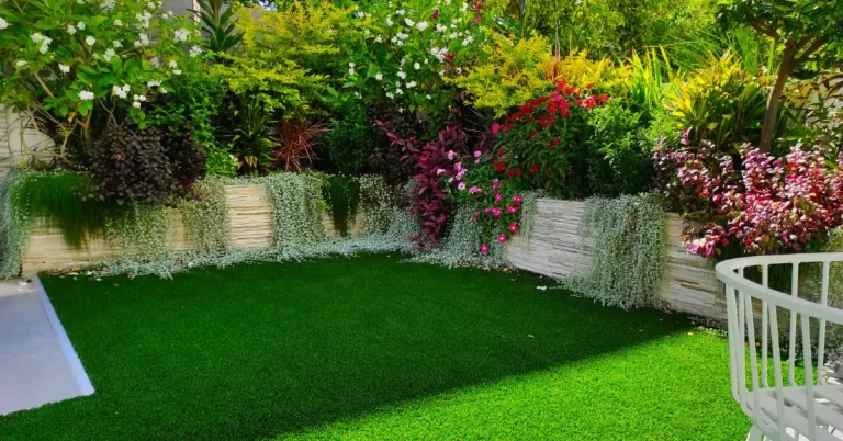 מור - דשא גן